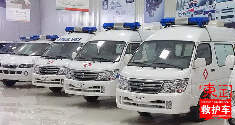金杯小海獅多車(chē)組圖